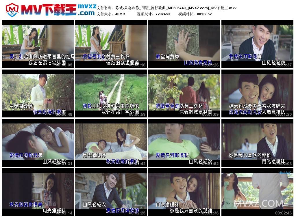 陈诚-只喜欢你_国语_流行歌曲_MD305749